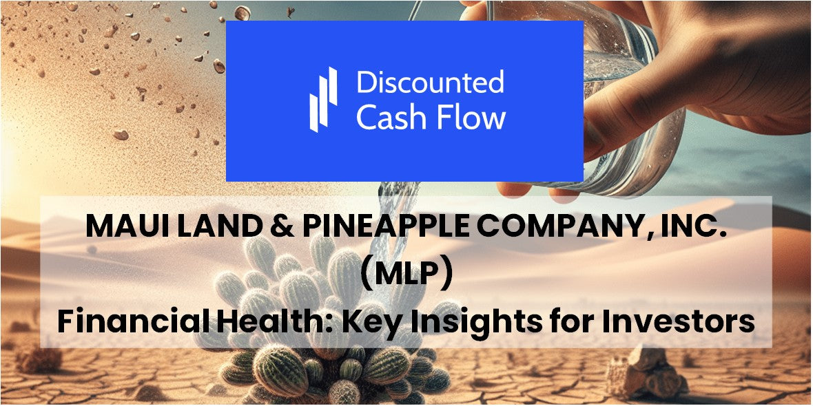 Breaking Down Maui Land & Pineapple Company, Inc. (MLP): Key Insights