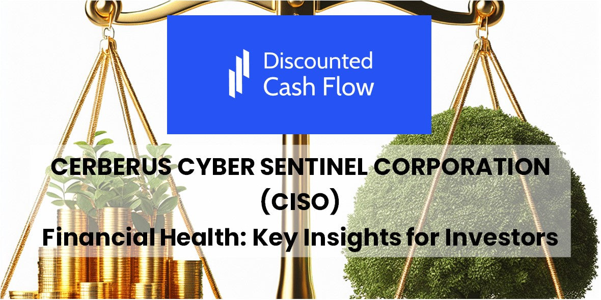 Cerberus Cyber Sentinel Corporation Key Debates