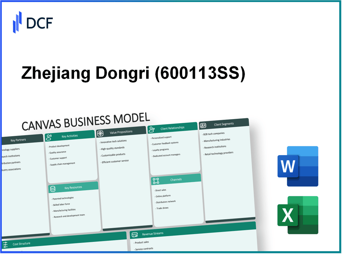 Zhejiang Dongri Limited Company (600113.SS): Canvas Business Model