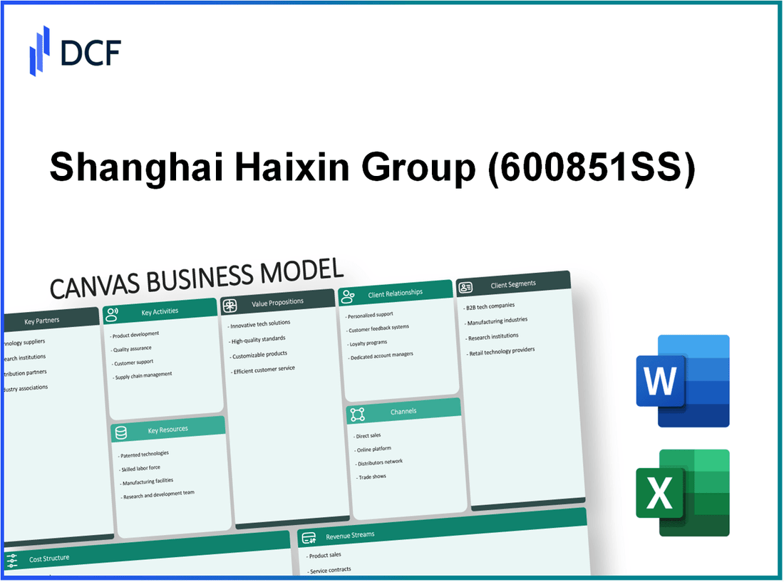 Shanghai Haixin Group Co., Ltd. (600851.SS): Canvas Business Model