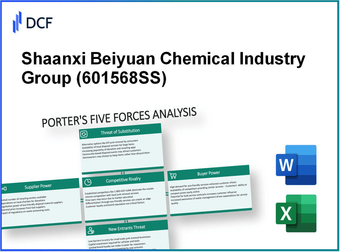 Shaanxi Beiyuan Chemical Industry Group (601568.SS): Porter's 5 Forces Analysis