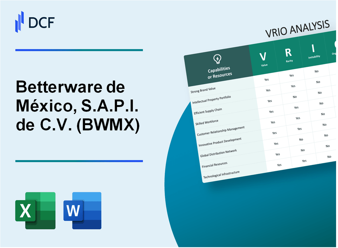 Betterware de México, S.A.P.I. de C.V. (BWMX) VRIO Analysis