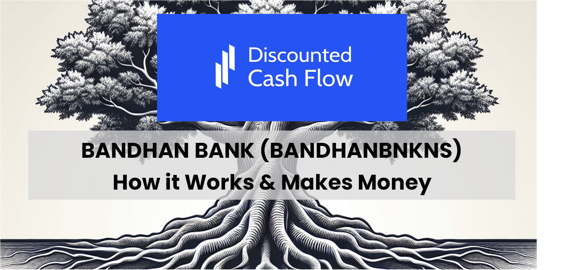 Bandhan Bank (BANDHANBNKNS): history, ownership, mission, how it works ...