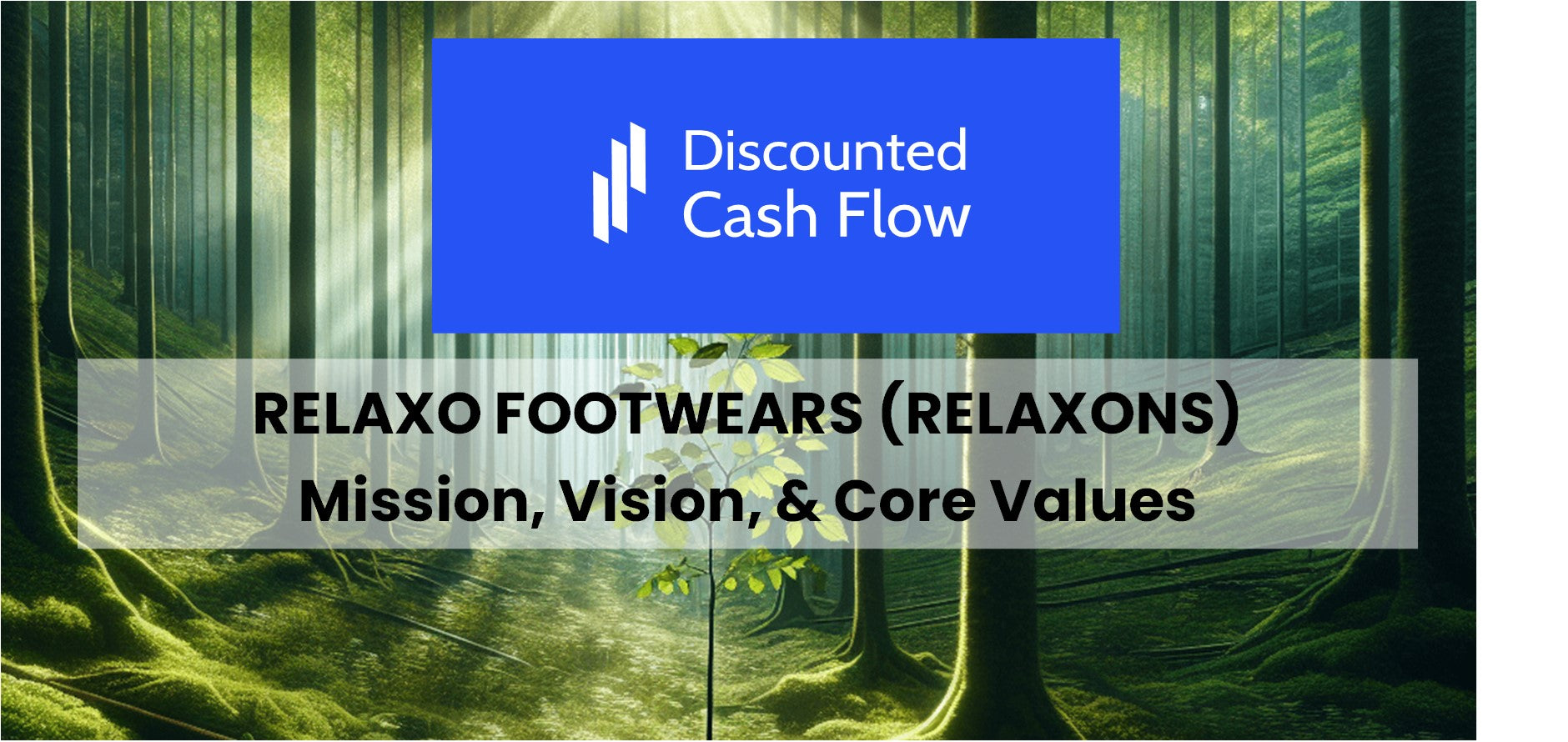 Mission Statement, Vision, & Core Values (2025) of Relaxo Footwears ...