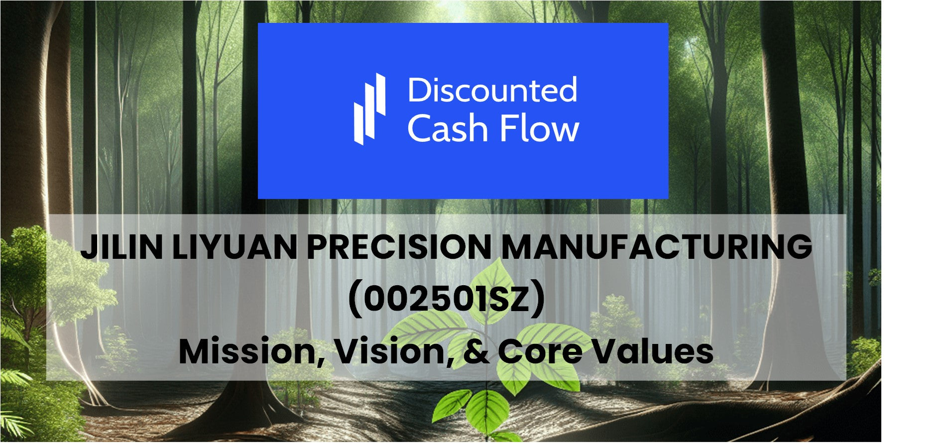 Mission Statement Vision Core Values 2025 Of Jilin Liyuan