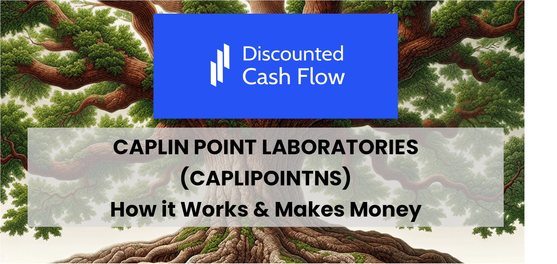 Caplin Point Laboratories (CAPLIPOINTNS): history, ownership, mission ...