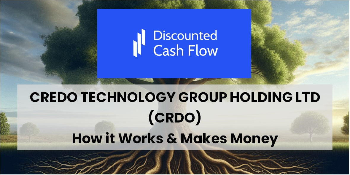 Credo Technology Group Holding Ltd (CRDO): history, ownership, mission ...