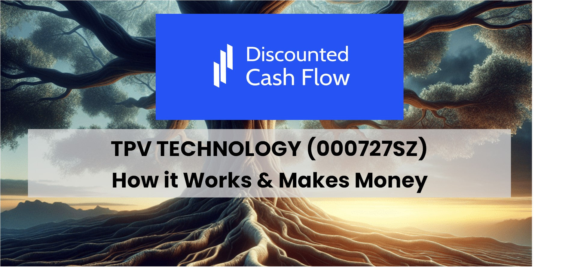 TPV Technology (000727SZ): history, ownership, mission, how it works ...