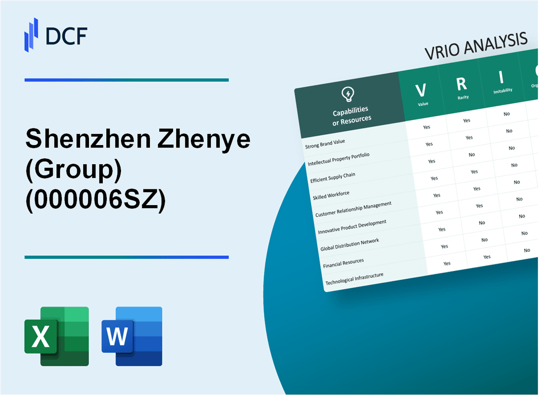 Shenzhen Zhenye Co.,Ltd. (000006.SZ): VRIO Analysis