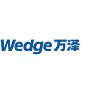 Wedge Industrial Co.,Ltd. (000534.SZ) Logo