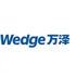 Wedge Industrial Co.,Ltd. (000534.SZ) Logo