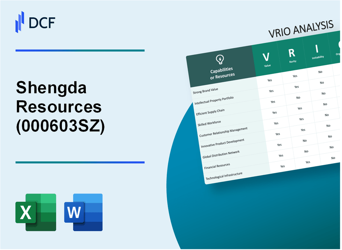 Shengda Resources Co.,Ltd. (000603.SZ): VRIO Analysis