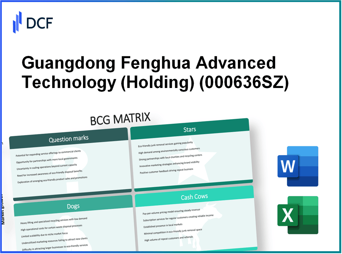 Guangdong Fenghua Advanced Technology Co., Ltd. (000636.SZ): BCG Matrix