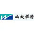 Shandong Shanda Wit Science and Technology Co., Ltd. (000915.SZ) Logo