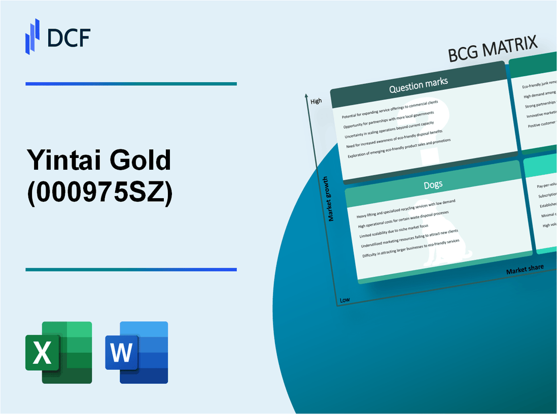 Yintai Gold Co., Ltd. (000975.SZ): BCG Matrix