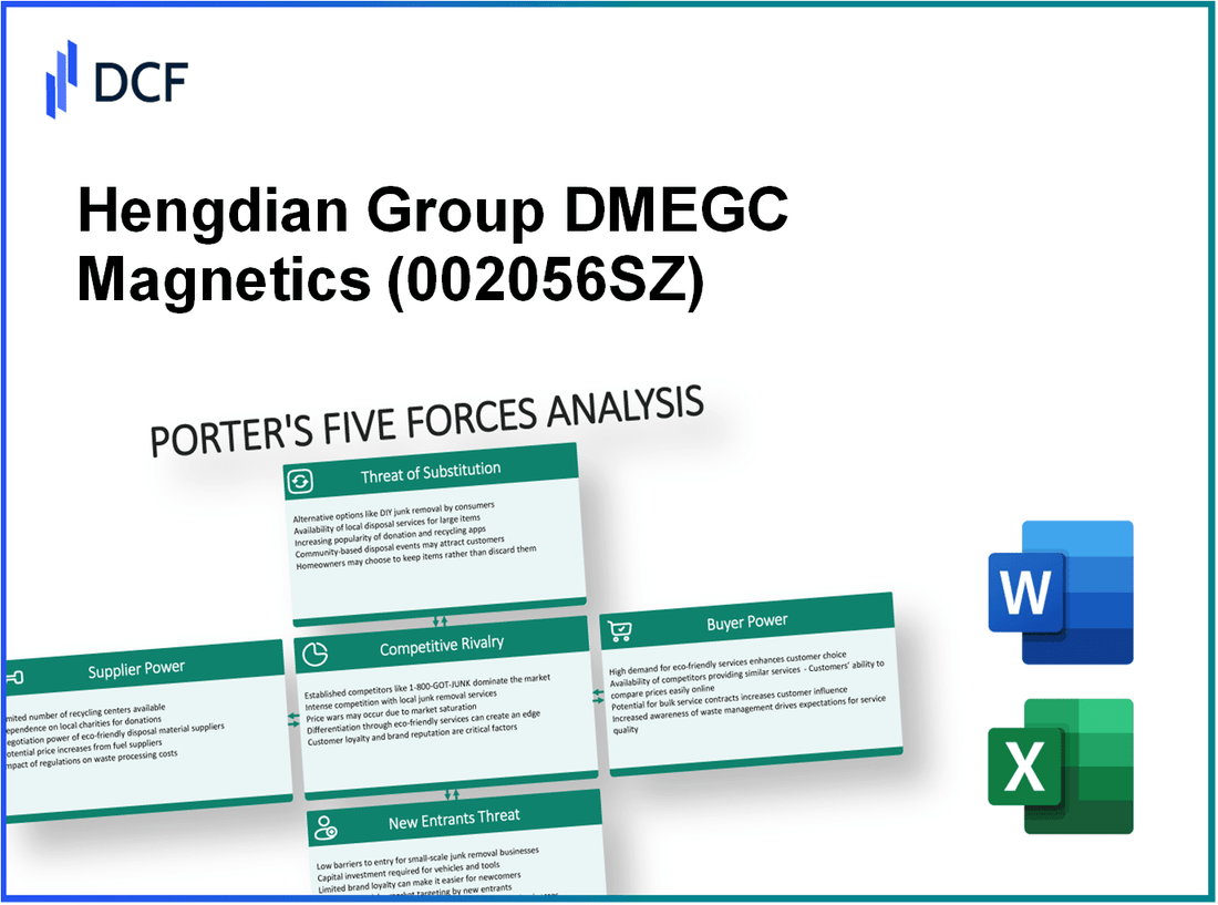 Hengdian Group DMEGC Magnetics (002056.SZ): Porter's 5 Forces Analysis