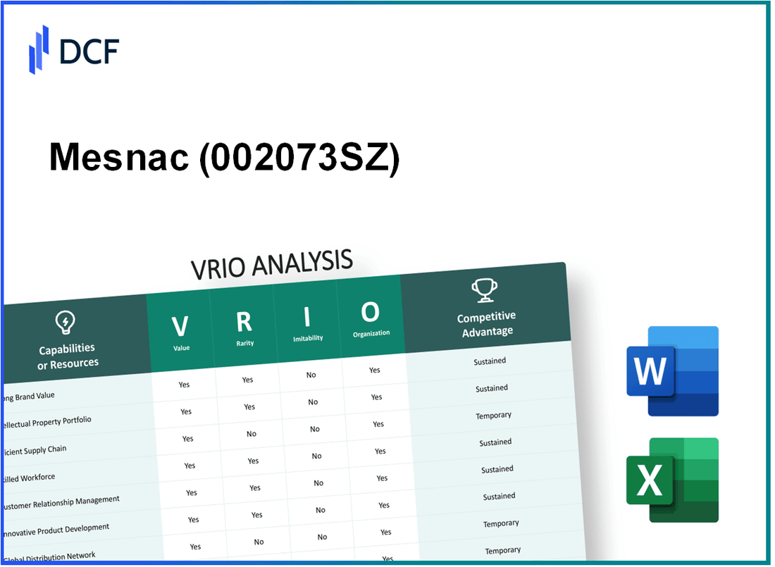 Mesnac Co., Ltd. (002073.SZ): VRIO Analysis