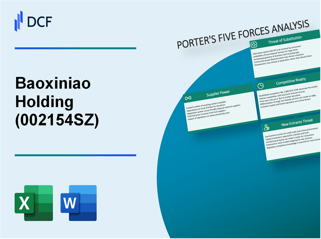 Baoxiniao Holding (002154.SZ): Porter's 5 Forces Analysis