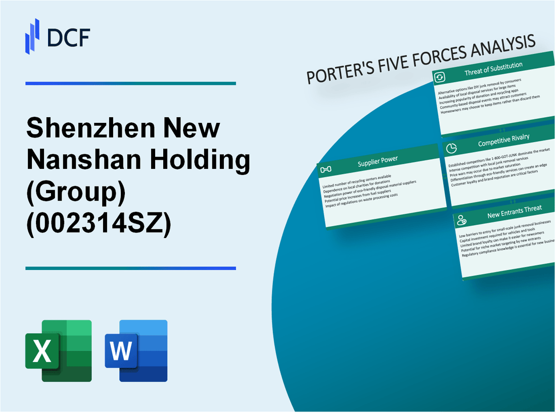 Shenzhen New Nanshan Holding (002314.SZ): Porter's 5 Forces Analysis