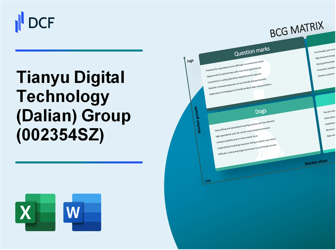 Tianyu Digital Technology Group Co., Ltd. (002354.SZ): BCG Matrix