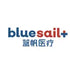 Blue Sail Medical Co.,Ltd. (002382.SZ) Logo