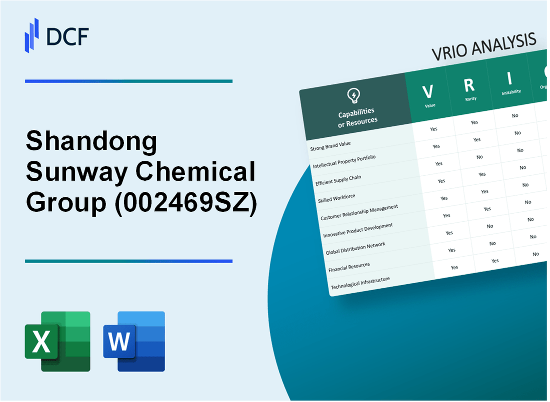 Shandong Sunway Chemical Group Co., Ltd. (002469.SZ): VRIO Analysis