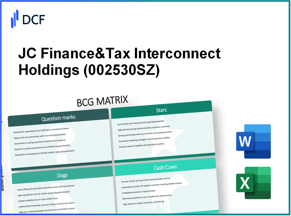 JC Finance&Tax Interconnect Holdings Ltd. (002530.SZ): BCG Matrix