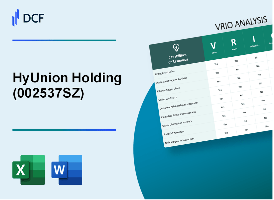 HyUnion Holding Co.,Ltd (002537.SZ): VRIO Analysis