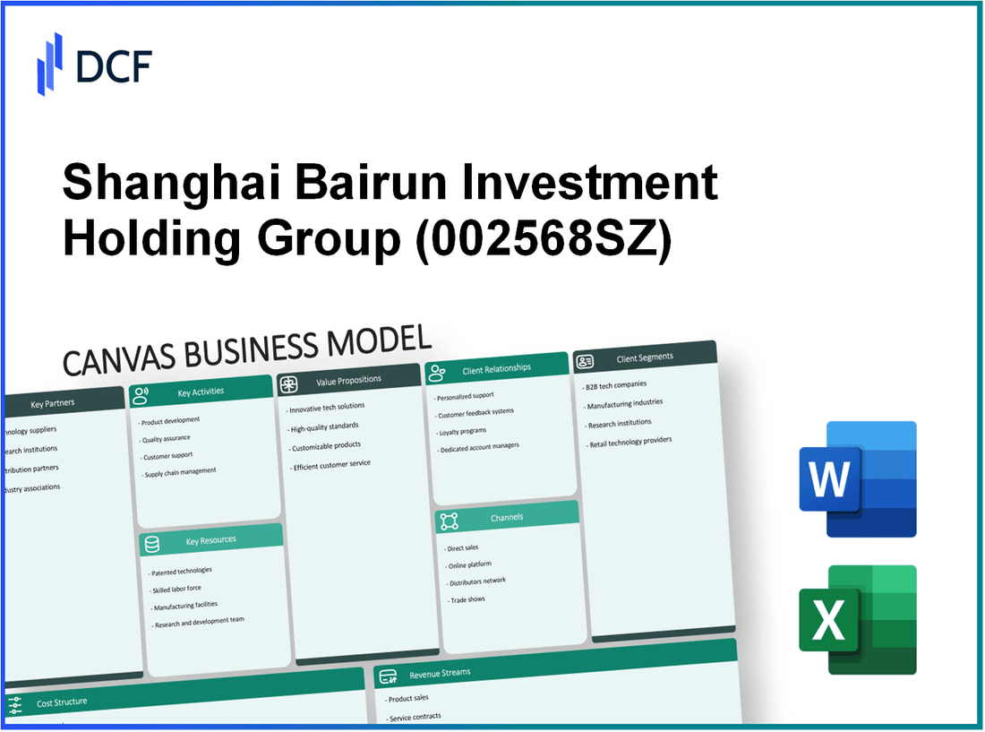 Shanghai Bairun Investment Holding Group Co., Ltd. (002568.SZ): Canvas Business Model