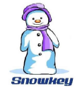 Fujian Snowman Co., Ltd. (002639.SZ) Logo