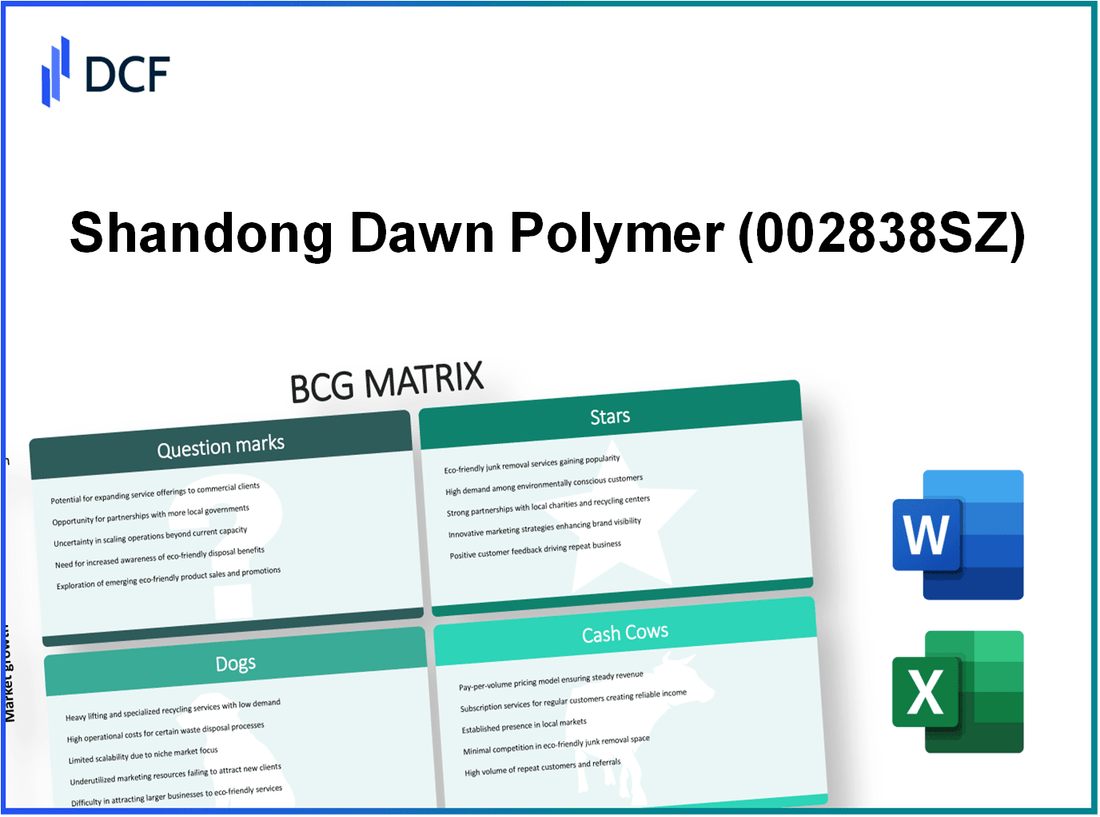 Shandong Dawn Polymer Co.,Ltd. (002838.SZ): BCG Matrix