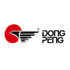 Guangdong Dongpeng Holdings Co., Ltd. (003012.SZ) Logo