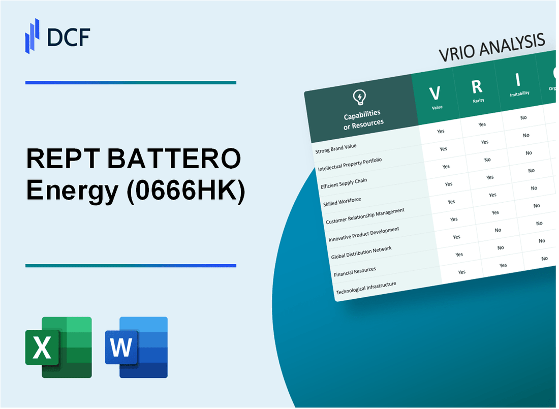 REPT BATTERO Energy Co Ltd (0666.HK): VRIO Analysis