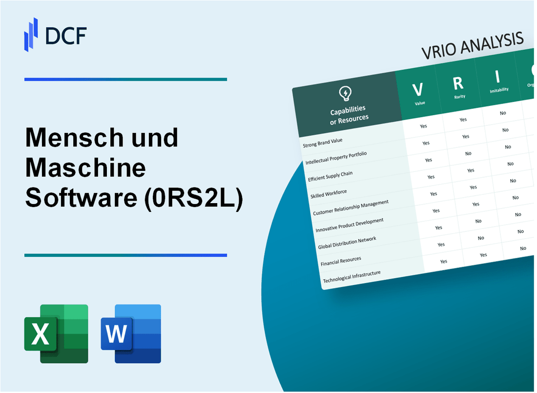 Mensch und Maschine Software SE (0RS2.L): VRIO Analysis