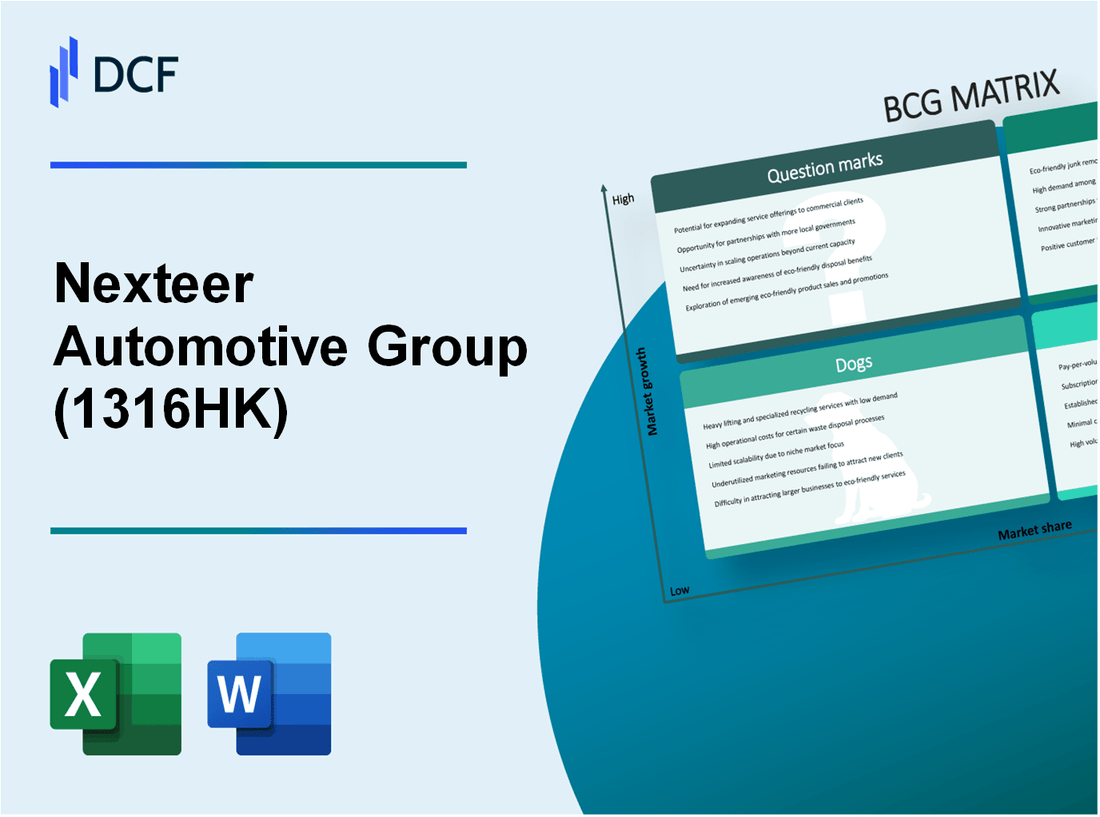 Nexteer Automotive Group Limited (1316.HK): BCG Matrix