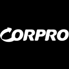 Chengdu CORPRO Technology Co., Ltd. (300101.SZ) Logo