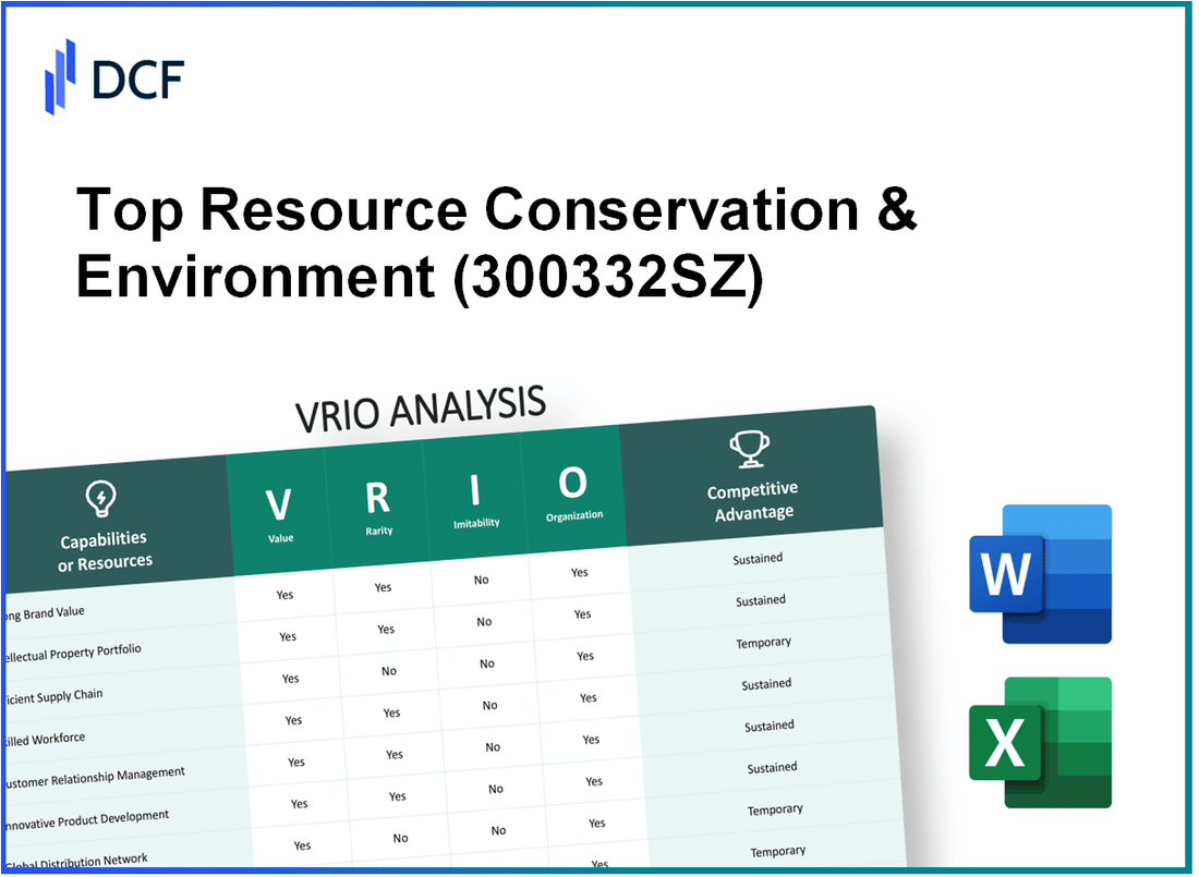 Top Resource Conservation & Environment Corp. (300332.SZ): VRIO Analysis