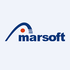 Shanghai Amarsoft Information & Technology Co.,Ltd (300380.SZ) Logo