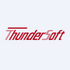 Thunder Software Technology Co.,Ltd. (300496.SZ) Logo