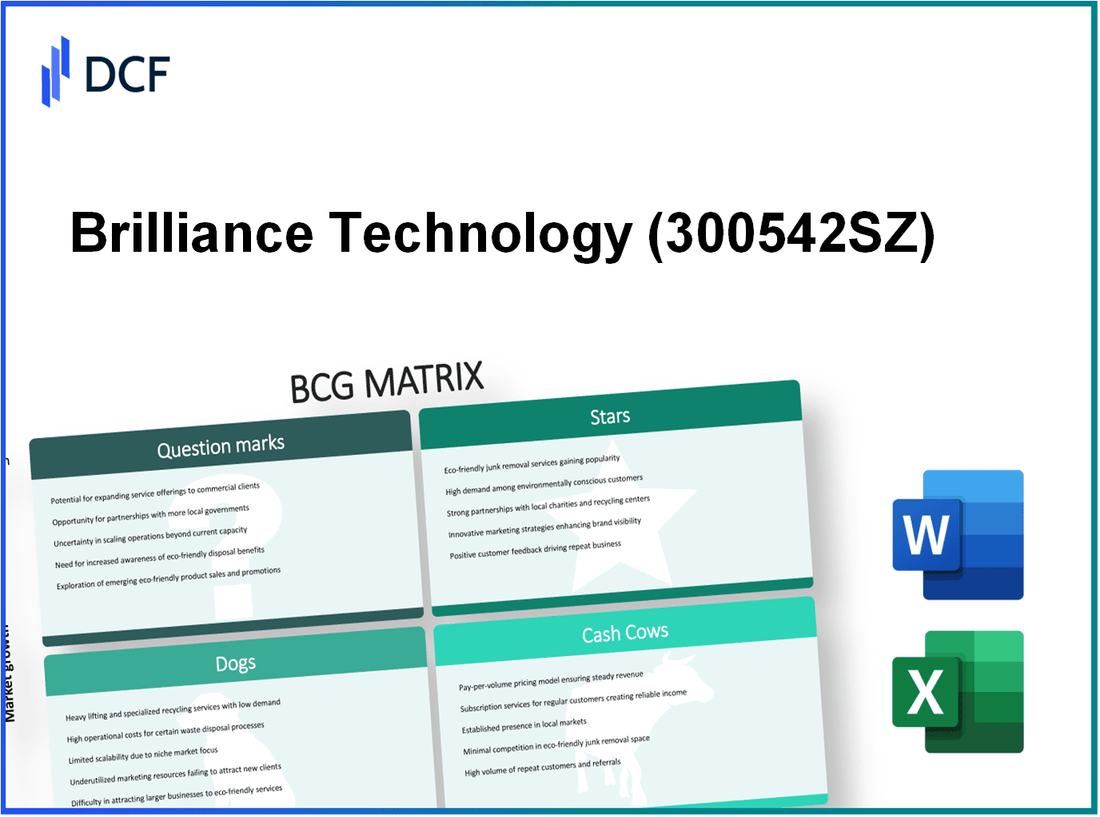 Brilliance Technology Co., Ltd. (300542.SZ): BCG Matrix