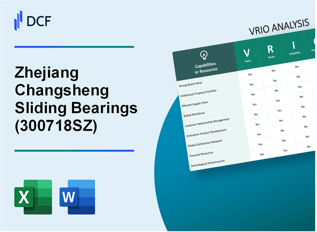 Zhejiang Changsheng Sliding Bearings Co., Ltd. (300718.SZ): VRIO Analysis