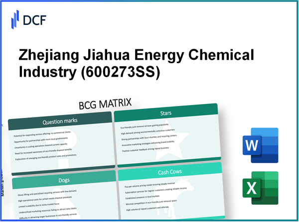 Zhejiang Jiahua Energy Chemical Industry Co.,Ltd. (600273.SS): BCG Matrix