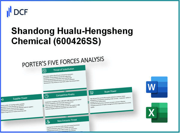 Shandong Hualu-Hengsheng Chemical (600426.SS): Porter's 5 Forces Analysis