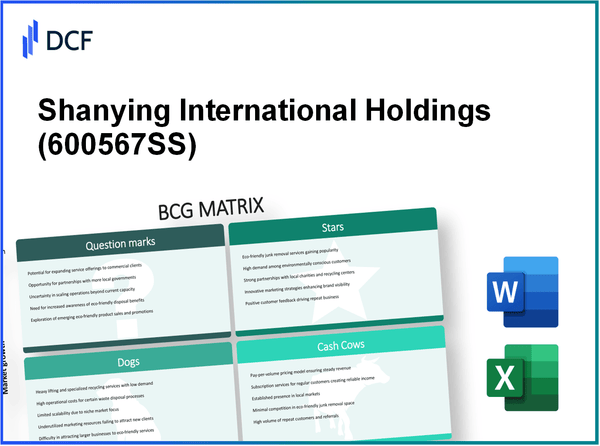 Shanying International Holdings Co.,Ltd (600567.SS): BCG Matrix