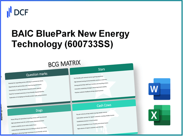 BAIC BluePark New Energy Technology Co.,Ltd. (600733.SS): BCG Matrix