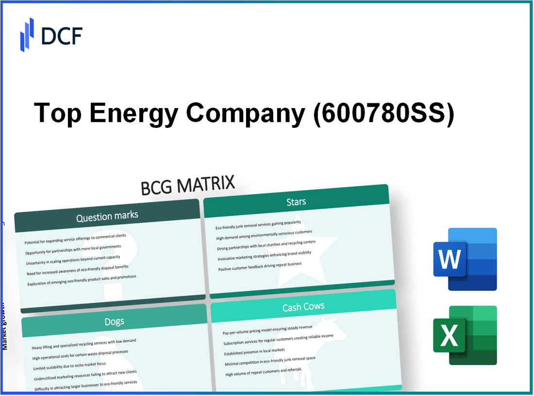 Top Energy Company Ltd.Shanxi (600780.SS): BCG Matrix