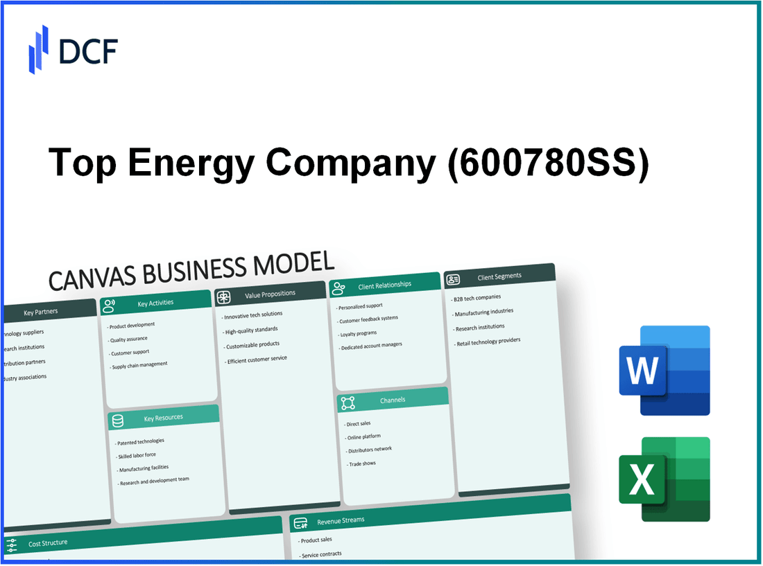 Top Energy Company Ltd.Shanxi (600780.SS): Canvas Business Model