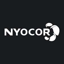 NYOCOR Co., Ltd. (600821.SS) Logo