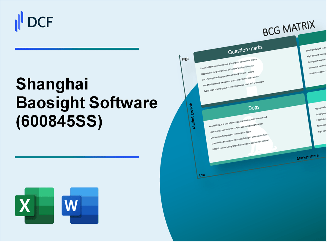 Shanghai Baosight Software Co.,Ltd. (600845.SS): BCG Matrix