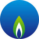 Shenzhen Gas Corporation Ltd. (601139.SS) Logo